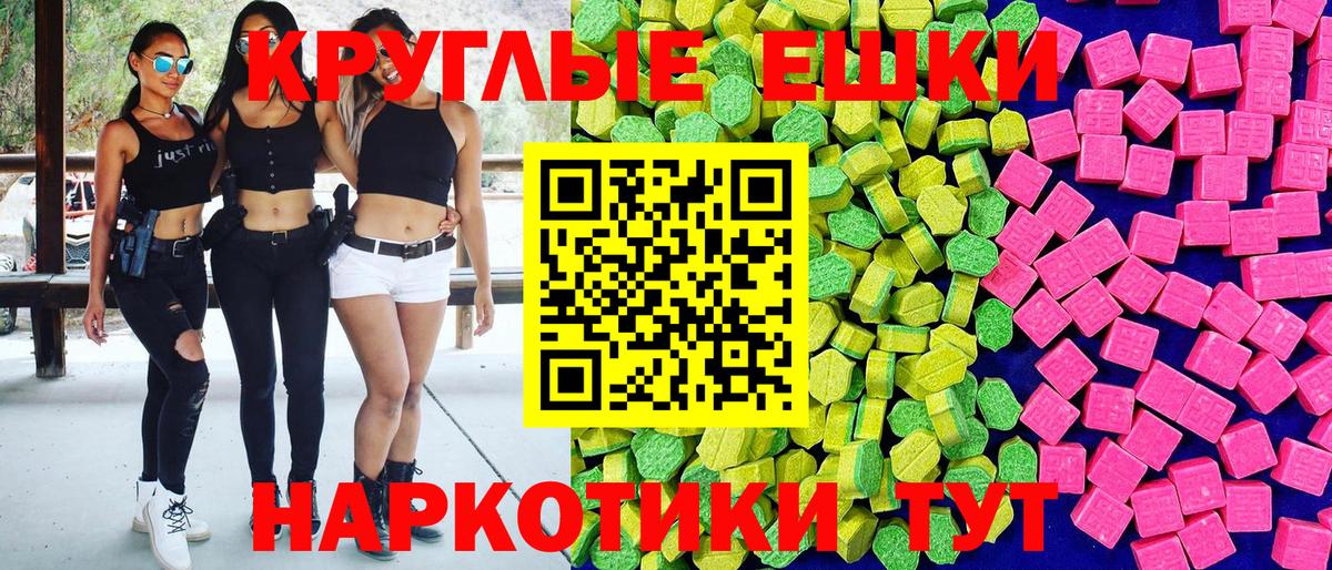 Ecstasy Punisher  Экстази Philipp Plein  Ржев  Вход с VPN 