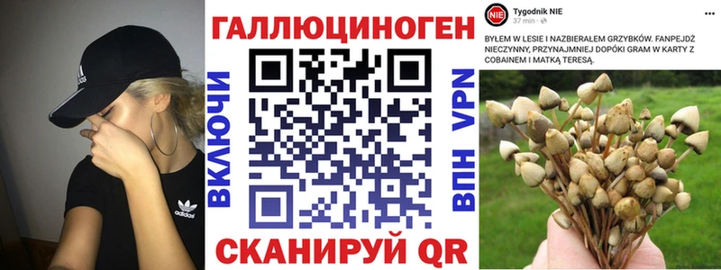 Псилоцибиновые грибы GOLDEN TEACHER хочу Ржев