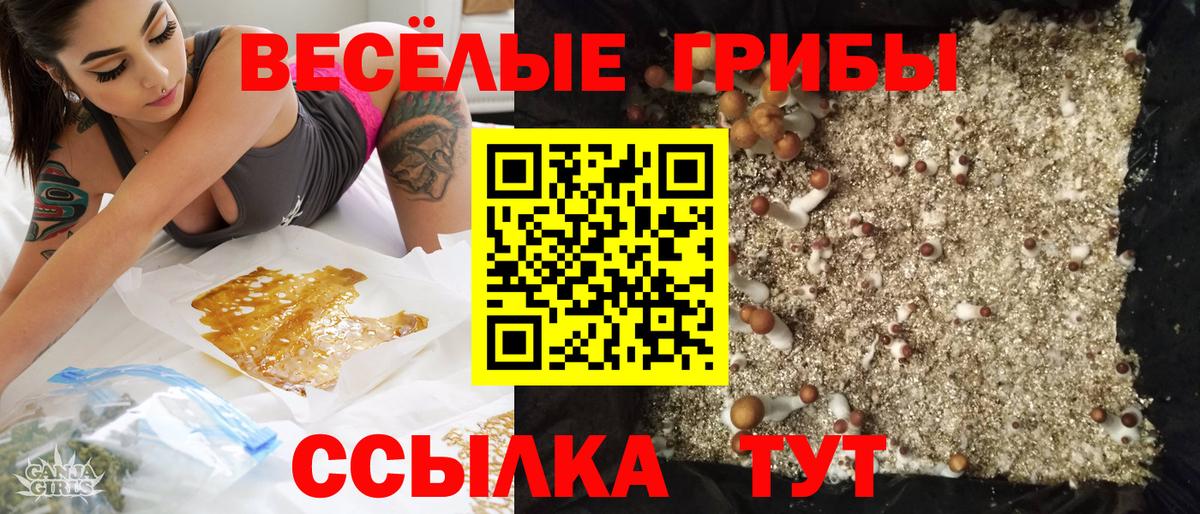 Псилоцибиновые грибы Psilocybe  Галлюциногенные грибы Cubensis  Ржев 