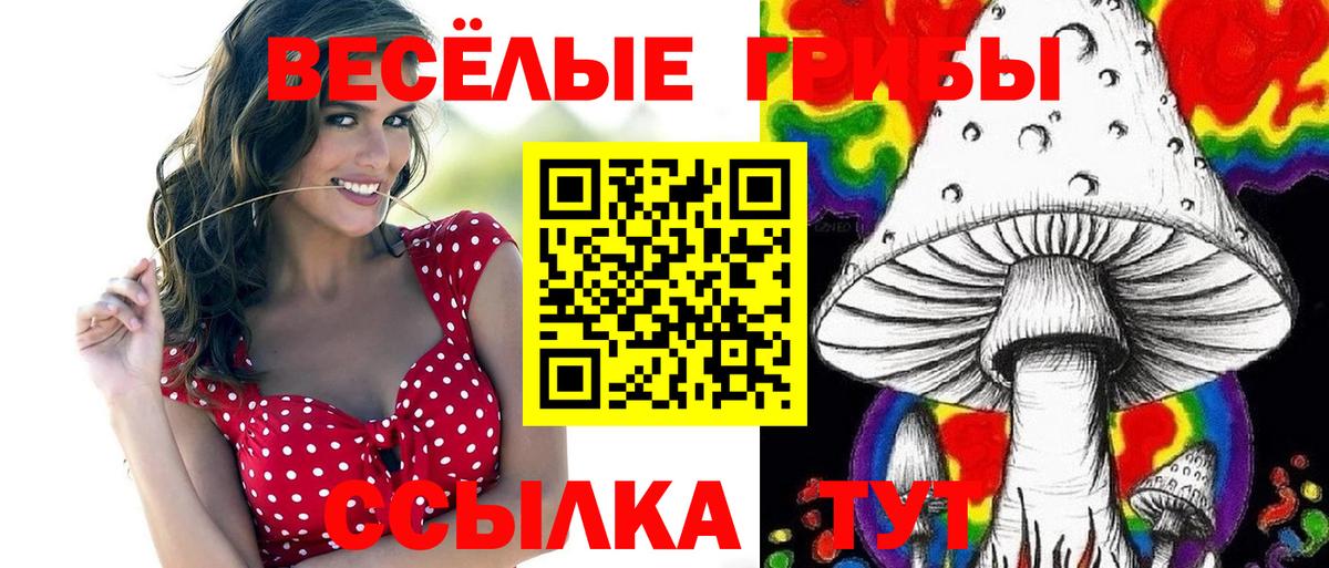 Ржев  Галлюциногенные грибы MAGIC MUSHROOMS  Вход с VPN 