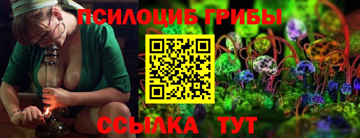 Псилоцибиновые грибы Psilocybine cubensis Ржев