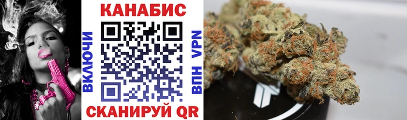 Каннабис OG Kush  Ржев 
